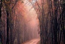 虎扑体育：[天下足球]哈兰德破门 曼城战平水晶宫.