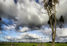 [天下足球]埃泽制胜球 利物浦不敌水晶宫.