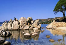 虎扑体育：多3场！西蒙斯2年打61场，恩比德58场，有点意思啊.